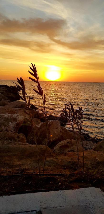 Penny'S Kato Paphos Apartment ภายนอก รูปภาพ