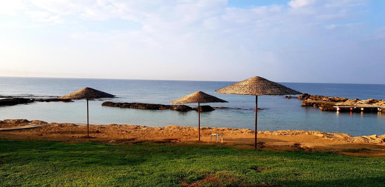Penny'S Kato Paphos Apartment ภายนอก รูปภาพ